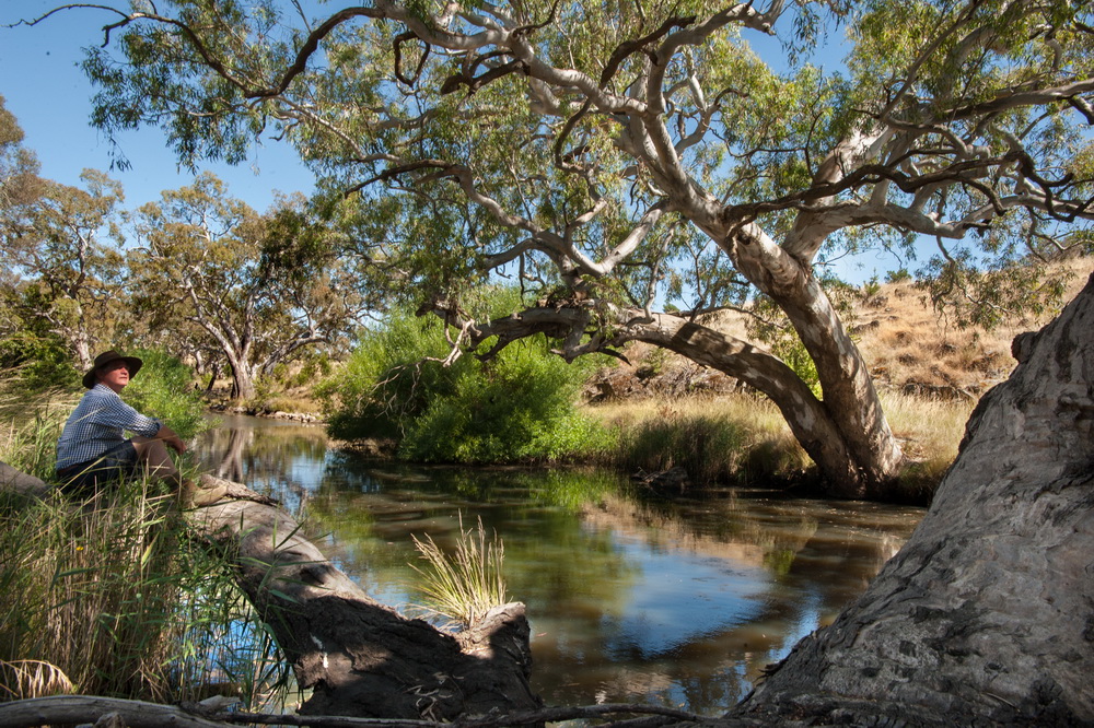 Robert Pearse from Langley Landcare "Our long term vision is to create biolinks along the several creeks that rise in the foothills of Black Hill and rundown into the Campaspe River,seen here".